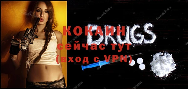 твердый Абаза