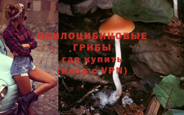 наркотики Абинск