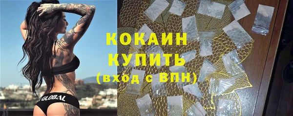 крисы Абдулино