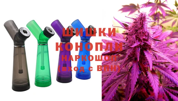 прущие грибы Михайловка