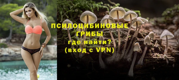 твердый Абаза