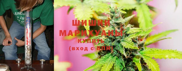 мдпв Михайлов