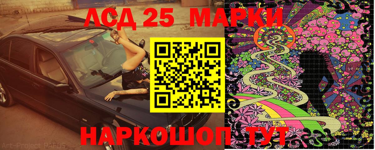 Наркотические марки 1500мкг  Наркотические марки 1500мкг  Шумерля  Вход с VPN 