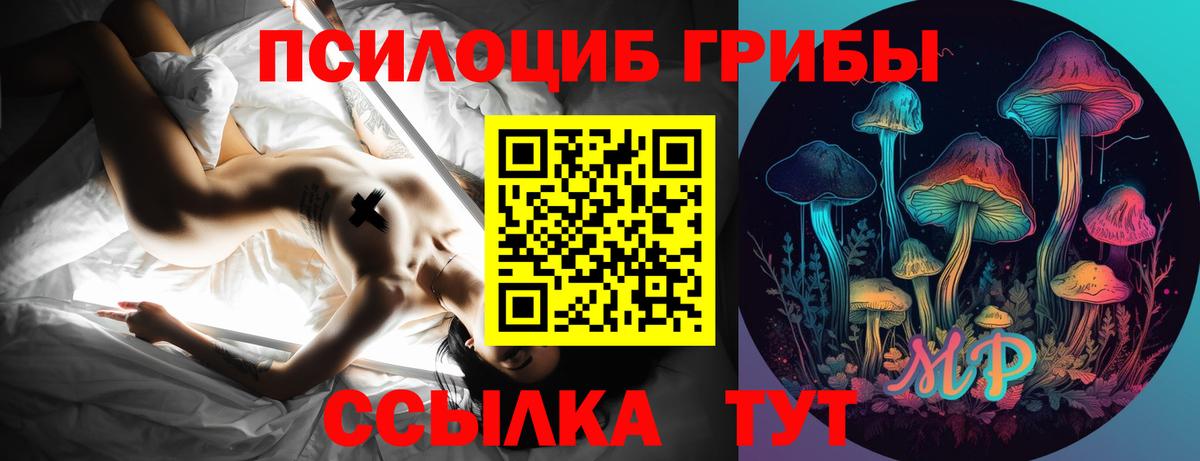 Псилоцибиновые грибы Psilocybe  Галлюциногенные грибы мухоморы  что такое   Вход с VPN  Шумерля 