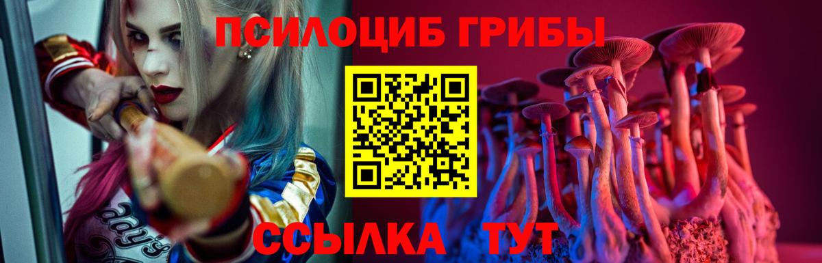 Галлюциногенные грибы Psilocybine cubensis Шумерля
